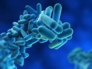 legionella-cause-contagio-prevenzione
