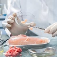 conservazione_cibi_abbattitore_haccp