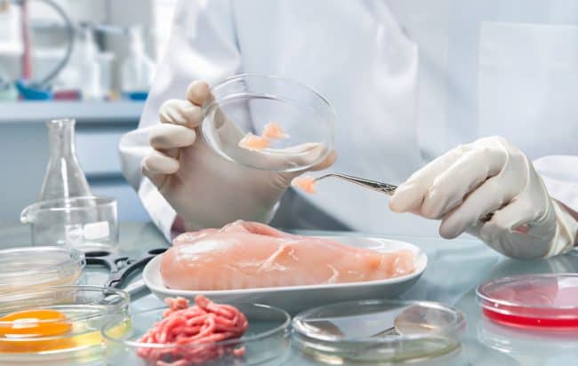 conservazione_cibi_abbattitore_haccp