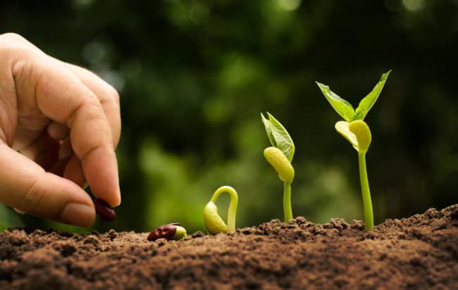 agricoltura-biologica-concimi-ammessi