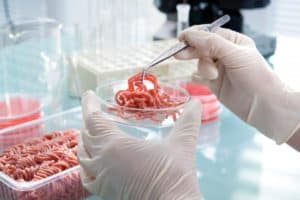 controlli-alimentari-nuovo-regolamento-europeo-2017-625