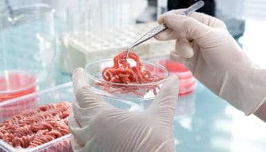 controlli-alimentari-nuovo-regolamento-europeo-2017-625