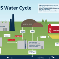 PFAS_Water_Cycle