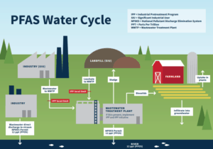 PFAS_Water_Cycle