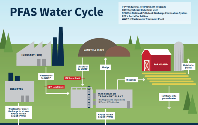 PFAS_Water_Cycle