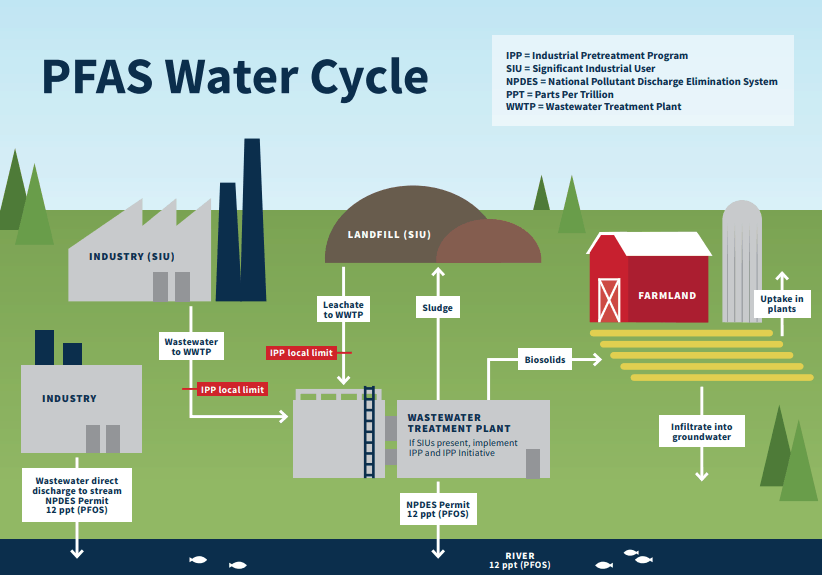 PFAS tra rischio e tutela della salute