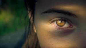 sguardo