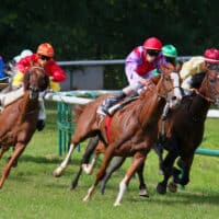 scommesse-sullippica