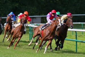 scommesse-sullippica
