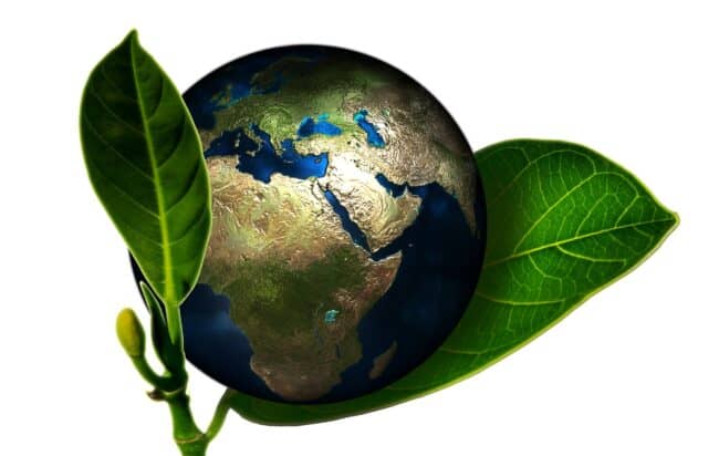 sistemi di gestione integrati ambiente