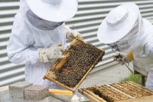 rischio biologico attività zoo-tecniche