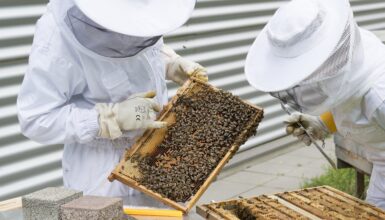 rischio biologico attività zoo-tecniche